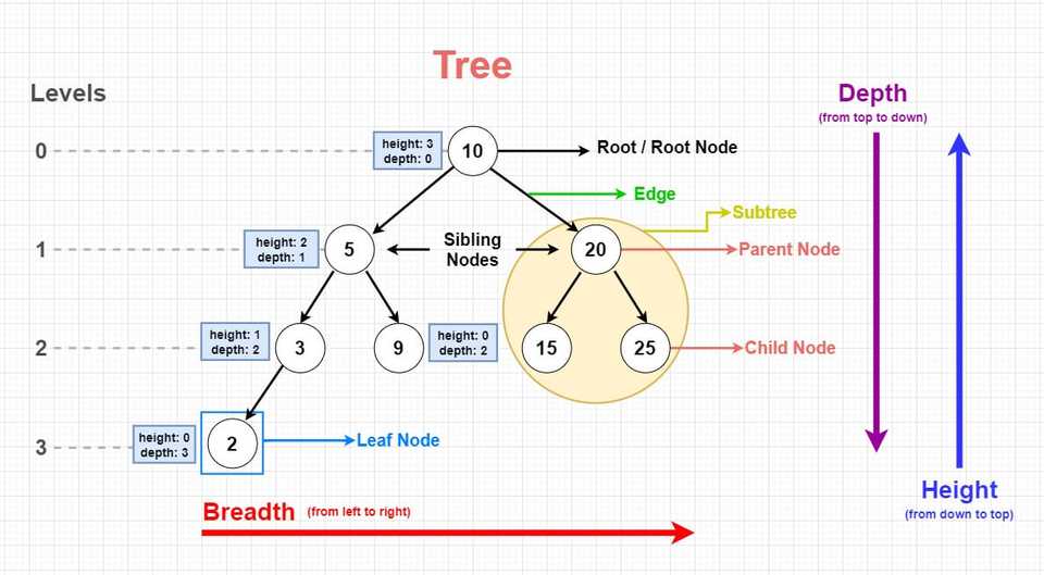 tree-data-structure-anatomy